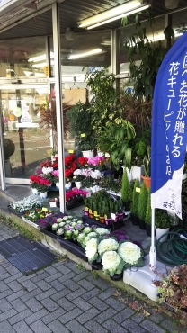 「堀部芳花園」　（石川県金沢市）の花屋店舗写真4